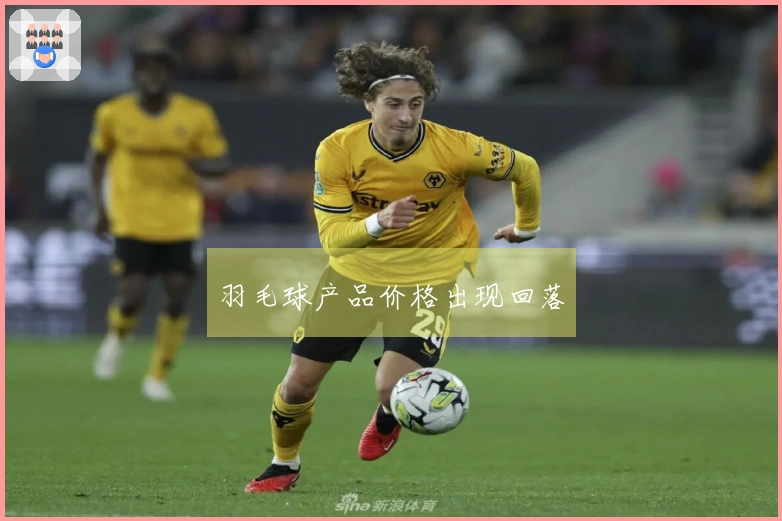 羽毛球产品价格出现回落